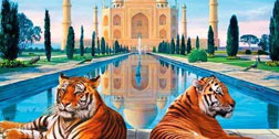 Taj Mahal Wildlfe Tour