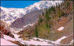 kufri