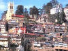 shimla city