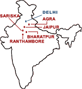 Wildlife Map