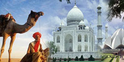 Taj Mahal camel ride
