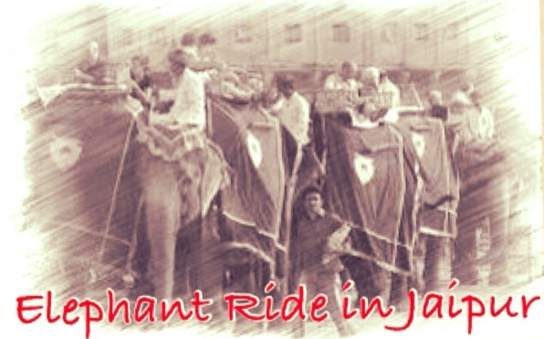 Elephant Ride in Jaipur