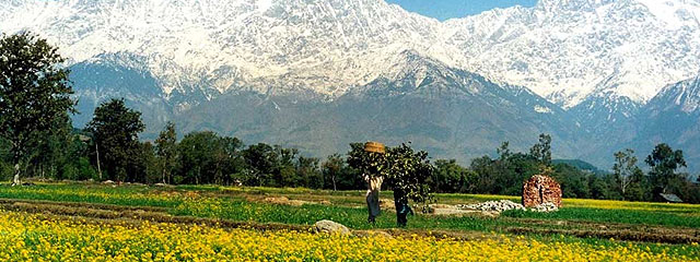 Delhi to Himachal Tour Package By Car