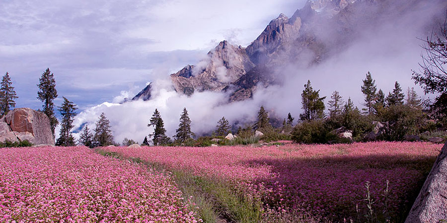 Sangla Valley Himachal